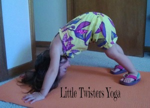 Down Dog_Homepage_Watermark